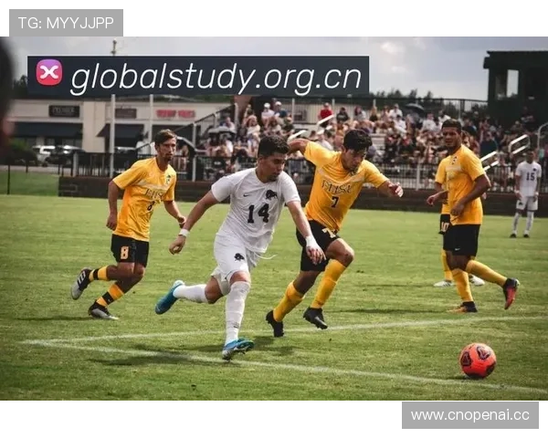 ✅体育直播🏆世界杯直播🏀NBA直播⚽- 广西培育拓展境外客源市场 加快恢复入境旅游- sports