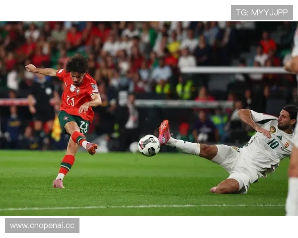 8强足球世界杯世界杯体育论坛